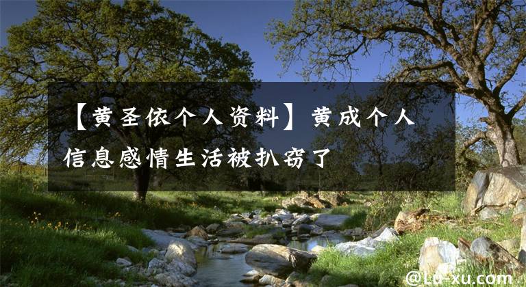 【黃圣依個(gè)人資料】黃成個(gè)人信息感情生活被扒竊了