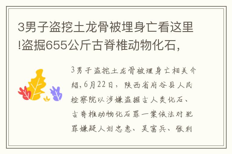 3男子盜挖土龍骨被埋身亡看這里!盜掘655公斤古脊椎動物化石，府谷縣檢察院對劉忠惠、吳富兵、張利平批準逮捕