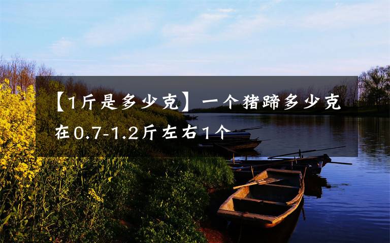 【1斤是多少克】一個(gè)豬蹄多少克 在0.7-1.2斤左右1個(gè)