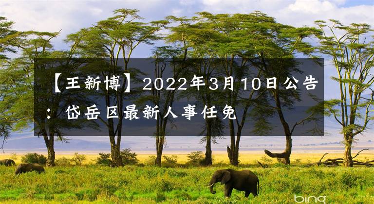 【王新博】2022年3月10日公告：岱岳區(qū)最新人事任免