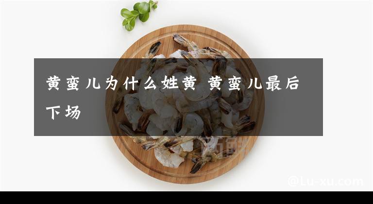 黃蠻兒為什么姓黃 黃蠻兒最后下場(chǎng)