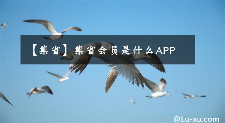 【集省】集省會(huì)員是什么APP