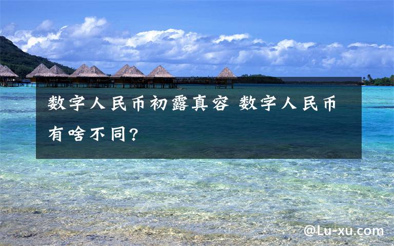 數(shù)字人民幣初露真容 數(shù)字人民幣有啥不同?