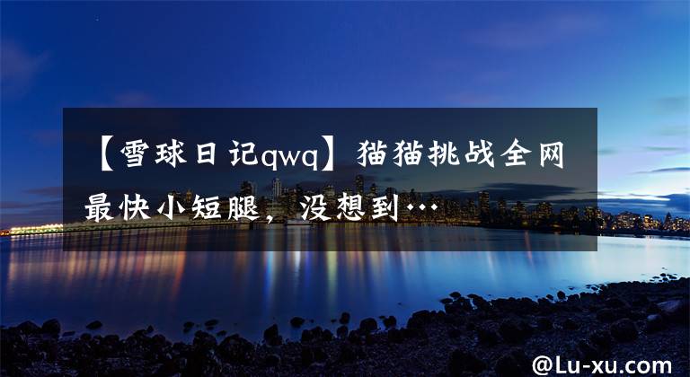 【雪球日記qwq】貓貓?zhí)魬?zhàn)全網(wǎng)最快小短腿，沒想到…