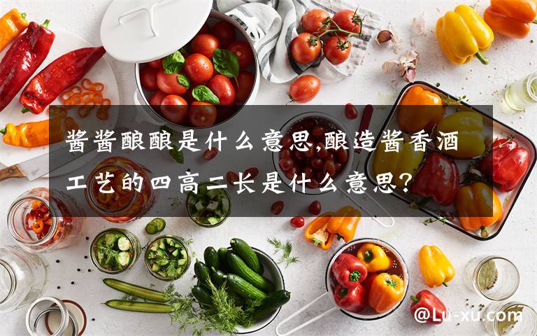 醬醬釀釀是什么意思,釀造醬香酒工藝的四高二長是什么意思？