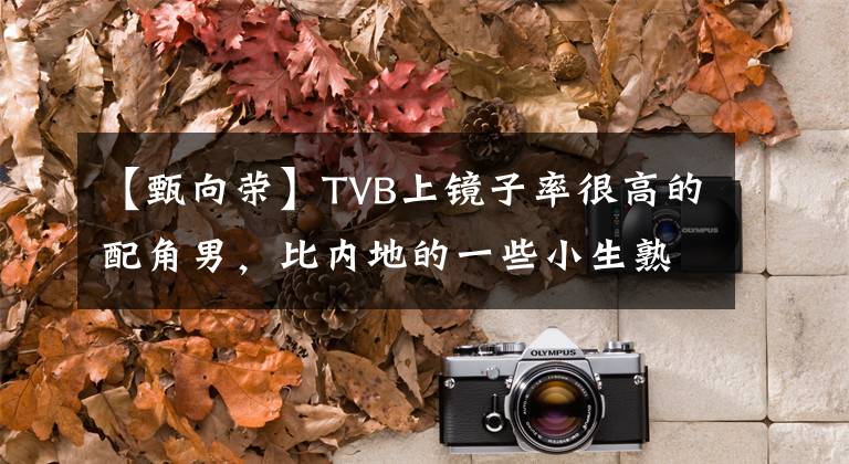 【甄向榮】TVB上鏡子率很高的配角男，比內(nèi)地的一些小生熟悉。