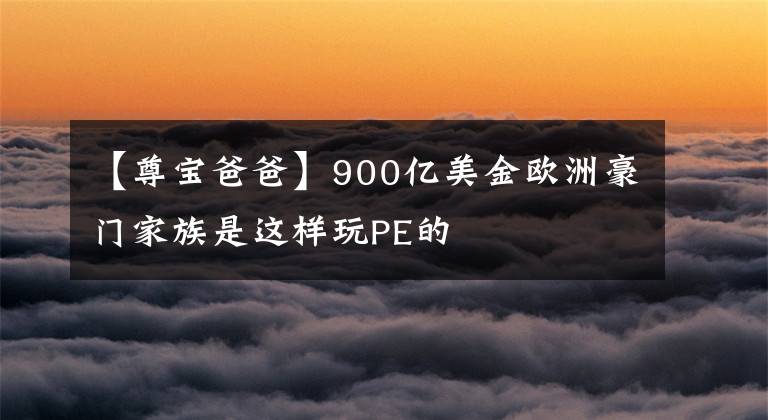 【尊寶爸爸】900億美金歐洲豪門家族是這樣玩PE的