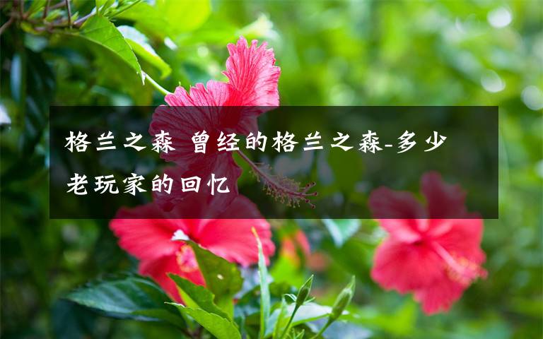 格蘭之森 曾經(jīng)的格蘭之森-多少老玩家的回憶