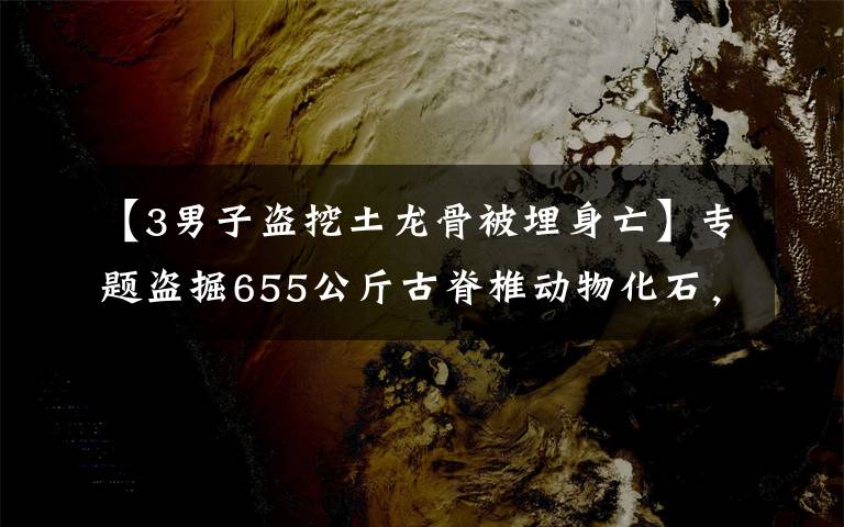 【3男子盜挖土龍骨被埋身亡】專題盜掘655公斤古脊椎動物化石，檢察院對劉忠惠等人批準(zhǔn)逮捕