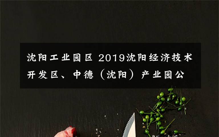 沈陽(yáng)工業(yè)園區(qū) 2019沈陽(yáng)經(jīng)濟(jì)技術(shù)開(kāi)發(fā)區(qū)、中德（沈陽(yáng)）產(chǎn)業(yè)園公開(kāi)選聘64人公告