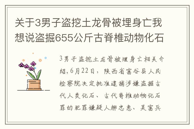 關于3男子盜挖土龍骨被埋身亡我想說盜掘655公斤古脊椎動物化石，府谷縣檢察院對劉忠惠、吳富兵、張利平批準逮捕