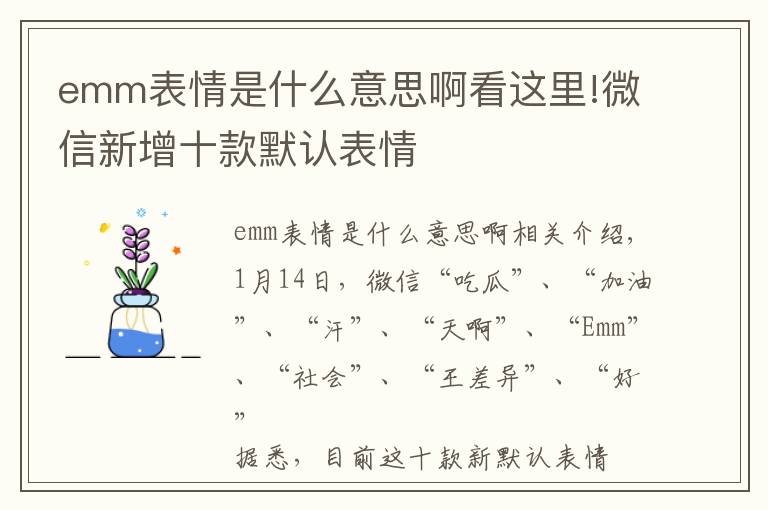 emm表情是什么意思啊看這里!微信新增十款默認表情