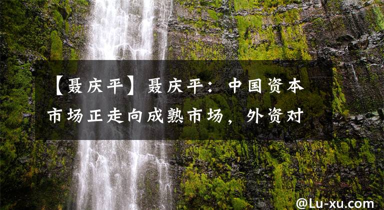 【聶慶平】聶慶平：中國資本市場正走向成熟市場，外資對消費(fèi)和大金融龍頭持股集中度高