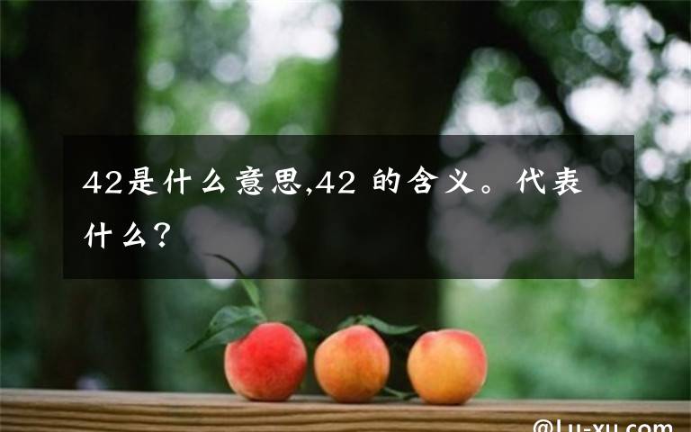 42是什么意思,42 的含義。代表什么？