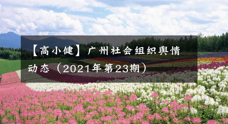 【高小健】廣州社會(huì)組織輿情動(dòng)態(tài)（2021年第23期）