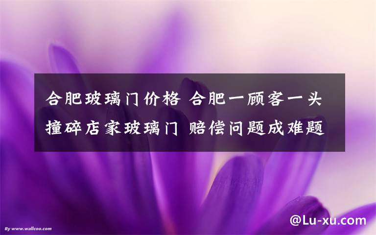 合肥玻璃門價(jià)格 合肥一顧客一頭撞碎店家玻璃門 賠償問題成難題