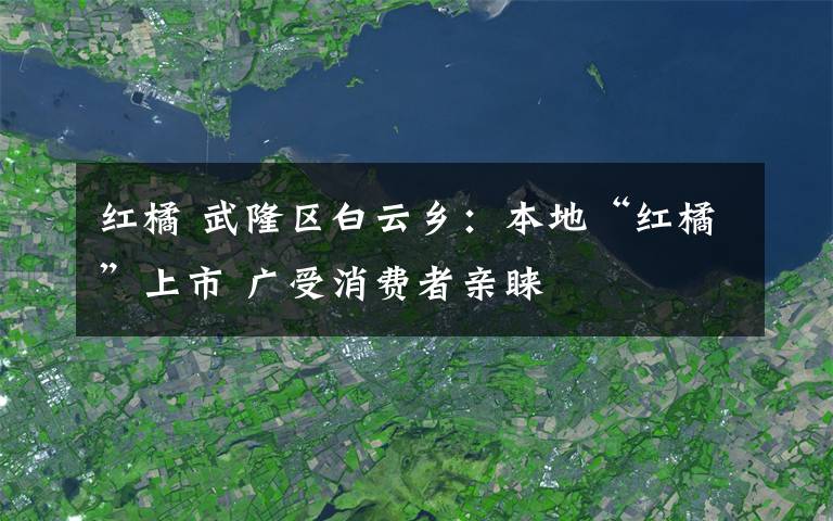 紅橘 武隆區(qū)白云鄉(xiāng)：本地“紅橘”上市 廣受消費(fèi)者親睞