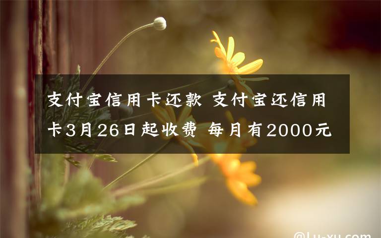 支付寶信用卡還款 支付寶還信用卡3月26日起收費 每月有2000元的免費還款額度