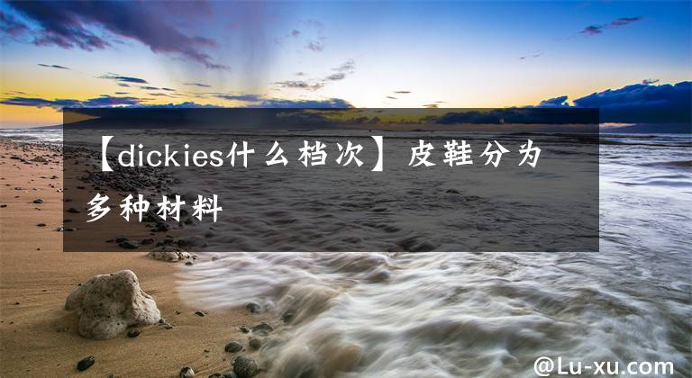 【dickies什么檔次】皮鞋分為多種材料