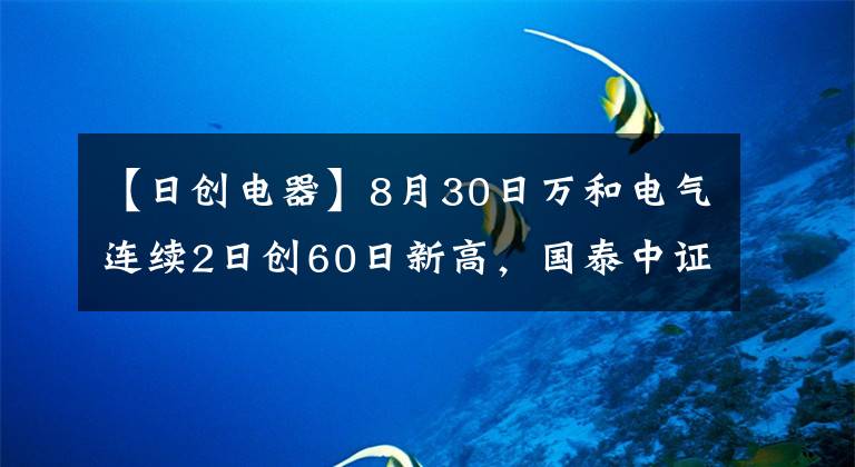 【日創(chuàng)電器】8月30日萬和電氣連續(xù)2日創(chuàng)60日新高，國泰中證全指家電ETF基金重倉該股