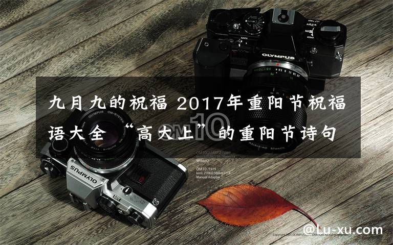 九月九的祝福 2017年重陽節(jié)祝福語大全 “高大上”的重陽節(jié)詩句祝福語