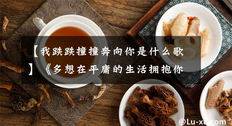 【我跌跌撞撞奔向你是什么歌】《多想在平庸的生活擁抱你》美元：人一輩子最怕突然聽懂一首歌。