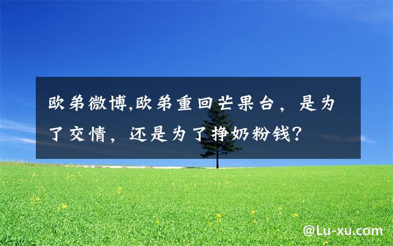 歐弟微博,歐弟重回芒果臺(tái)，是為了交情，還是為了掙奶粉錢？