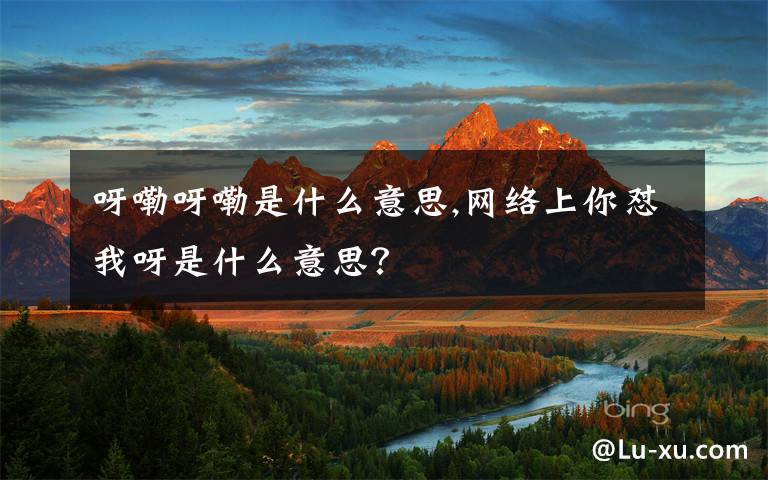 呀嘞呀嘞是什么意思,網(wǎng)絡(luò)上你懟我呀是什么意思？