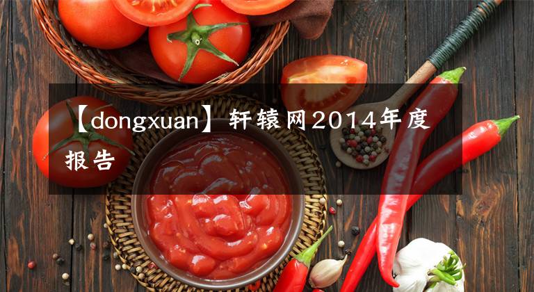 【dongxuan】軒轅網(wǎng)2014年度報告