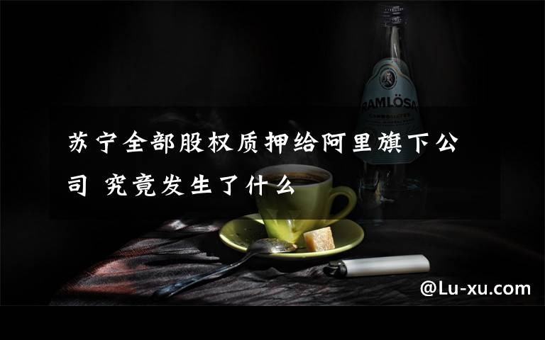 蘇寧全部股權(quán)質(zhì)押給阿里旗下公司 究竟發(fā)生了什么