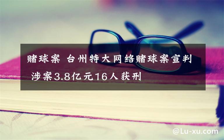 賭球案 臺(tái)州特大網(wǎng)絡(luò)賭球案宣判 涉案3.8億元16人獲刑