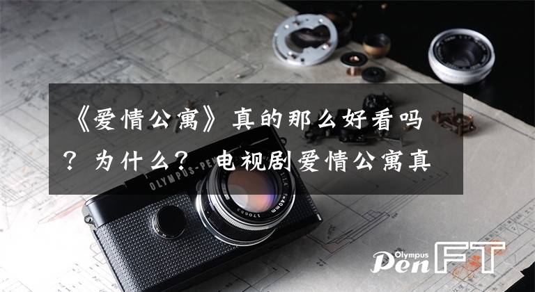 《愛情公寓》真的那么好看嗎？為什么？ 電視劇愛情公寓真的好看嗎