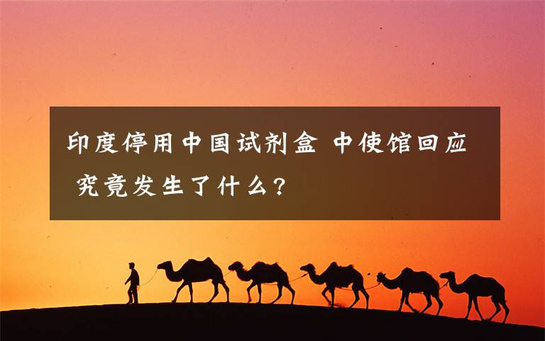 印度停用中國試劑盒 中使館回應(yīng) 究竟發(fā)生了什么?