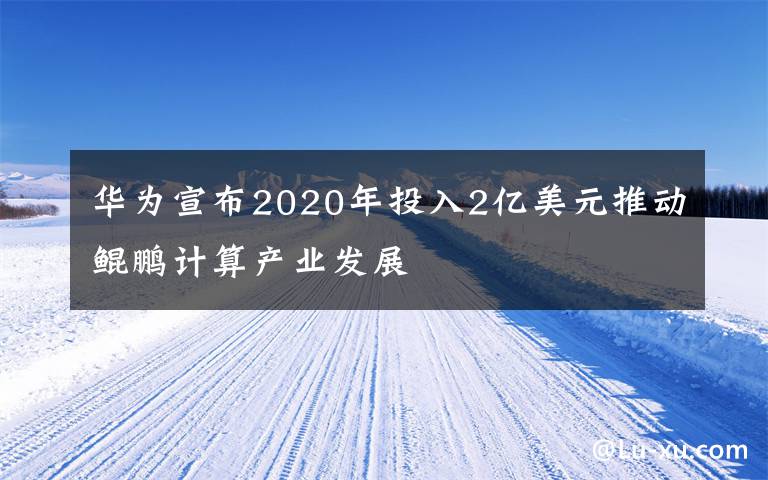 華為宣布2020年投入2億美元推動(dòng)鯤鵬計(jì)算產(chǎn)業(yè)發(fā)展