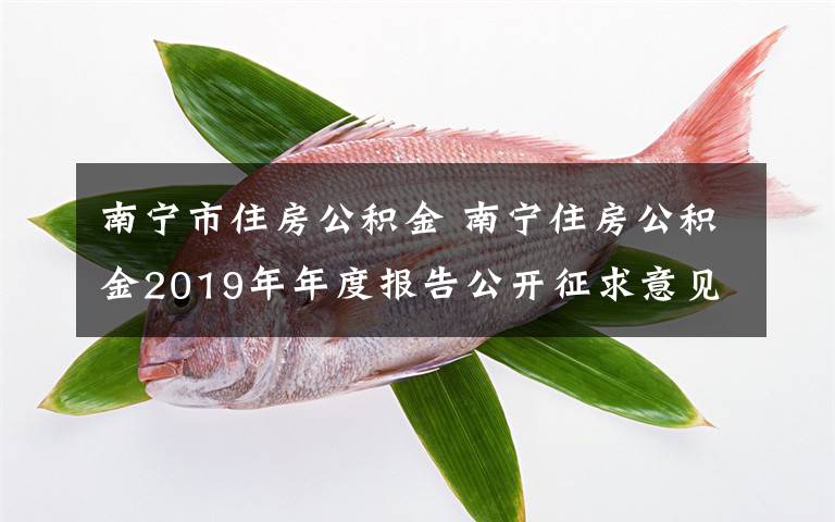 南寧市住房公積金 南寧住房公積金2019年年度報告公開征求意見