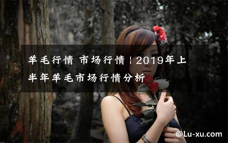 羊毛行情 市場(chǎng)行情 | 2019年上半年羊毛市場(chǎng)行情分析