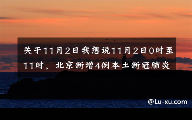 關(guān)于11月2日我想說(shuō)11月2日0時(shí)至11時(shí)，北京新增4例本土新冠肺炎確診病例