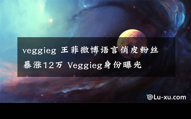 veggieg 王菲微博語(yǔ)言俏皮粉絲暴漲12萬(wàn) Veggieg身份曝光