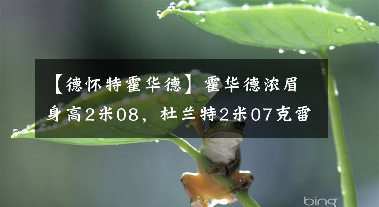 【德懷特霍華德】霍華德濃眉身高2米08，杜蘭特2米07克雷只有1米96