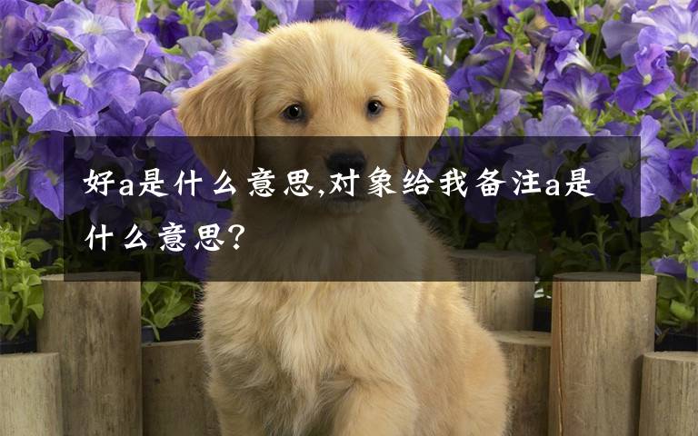 好a是什么意思,對象給我備注a是什么意思？