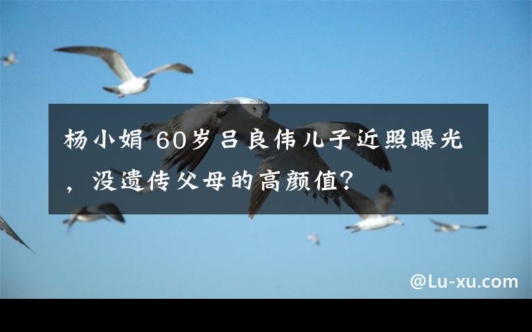 楊小娟 60歲呂良偉兒子近照曝光，沒(méi)遺傳父母的高顏值？