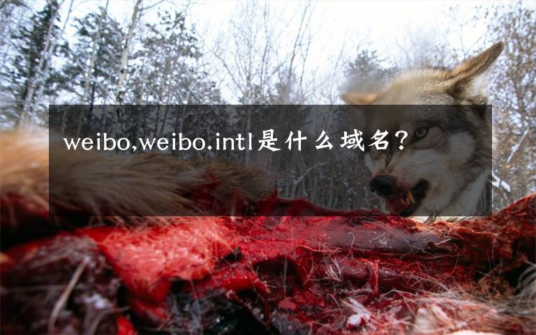 weibo,weibo.intl是什么域名？