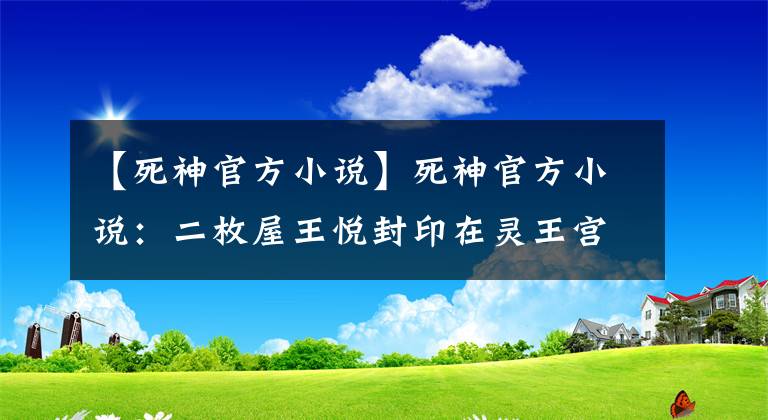 【死神官方小說】死神官方小說：二枚屋王悅封印在靈王宮的斬魄刀，在千年血戰(zhàn)被盜