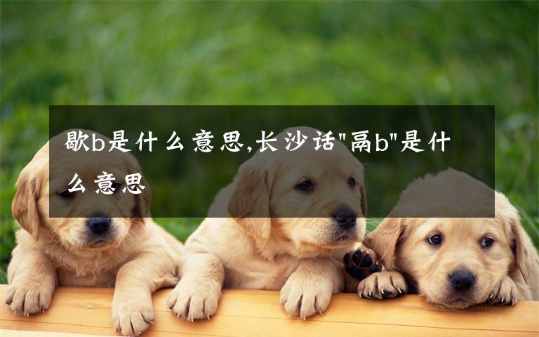 歇b是什么意思,長(zhǎng)沙話