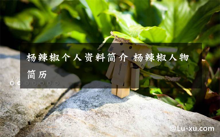 楊辣椒個(gè)人資料簡(jiǎn)介 楊辣椒人物簡(jiǎn)歷