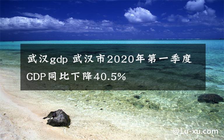 武漢gdp 武漢市2020年第一季度GDP同比下降40.5%