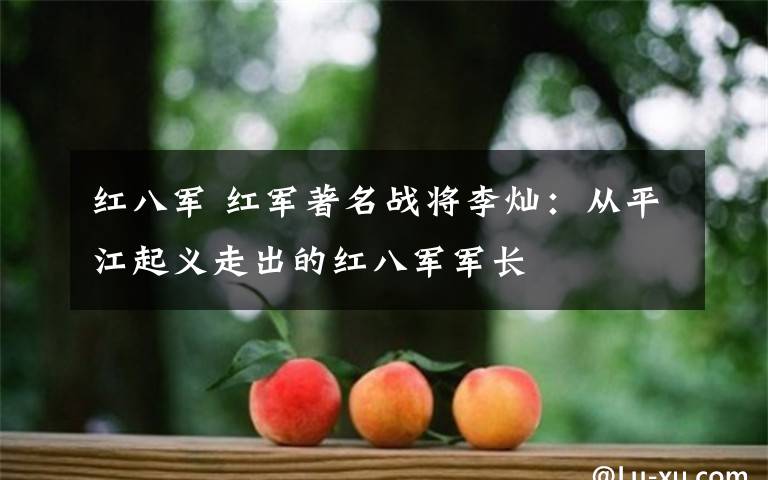 紅八軍 紅軍著名戰(zhàn)將李燦：從平江起義走出的紅八軍軍長