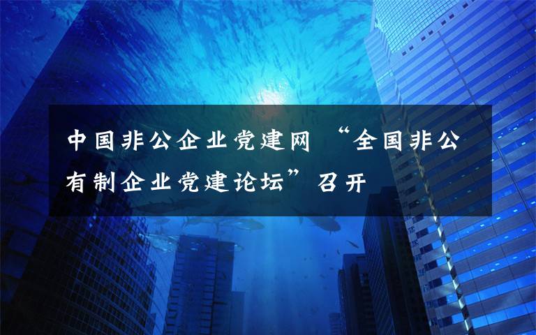 中國非公企業(yè)黨建網(wǎng) “全國非公有制企業(yè)黨建論壇”召開