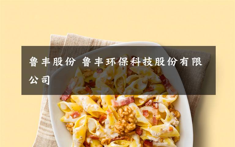 魯豐股份 魯豐環(huán)保科技股份有限公司