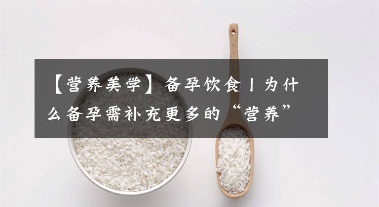 【營(yíng)養(yǎng)美學(xué)】備孕飲食丨為什么備孕需補(bǔ)充更多的“營(yíng)養(yǎng)”？